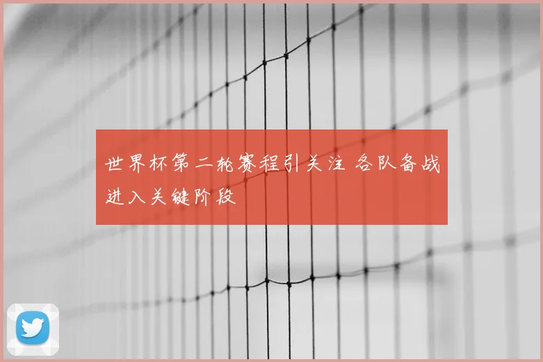 世界杯第二轮赛程引关注 各队备战进入关键阶段