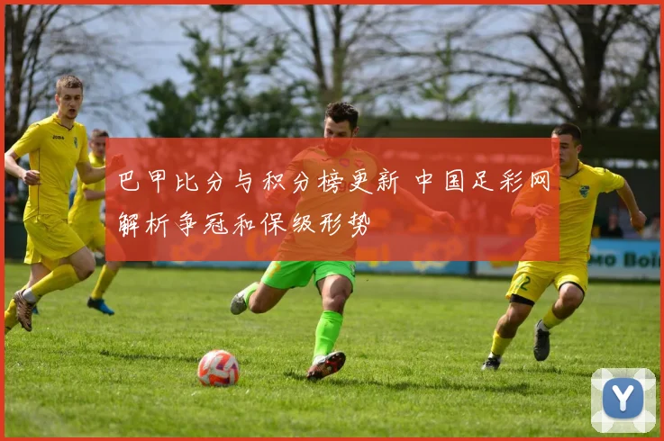 巴甲比分与积分榜更新 中国足彩网解析争冠和保级形势