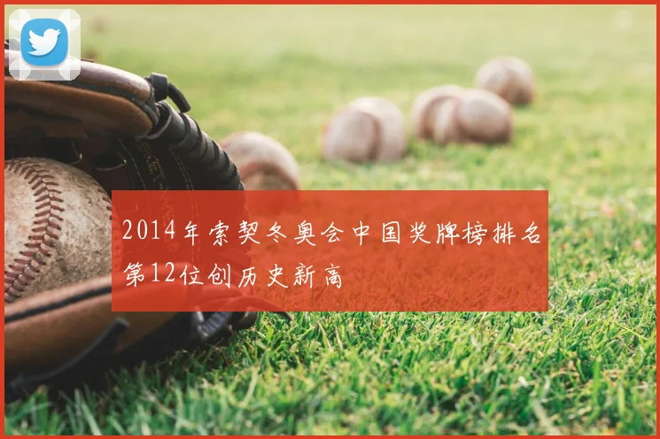 2014年索契冬奥会中国奖牌榜排名第12位创历史新高