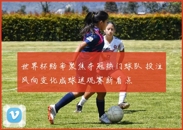 世界杯赔率聚焦夺冠热门球队 投注风向变化成球迷观赛新看点