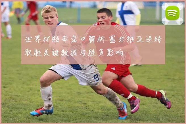 世界杯赔率盘口解析 塞尔维亚逆转取胜关键数据与胜负影响