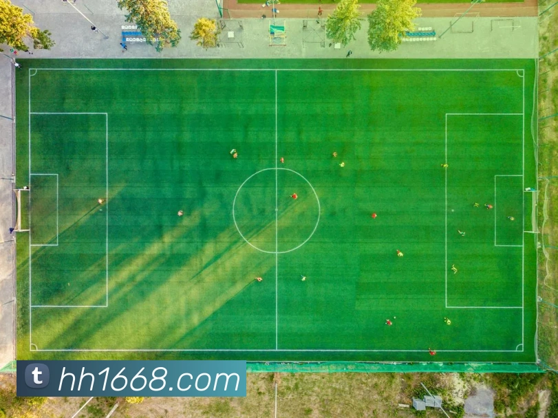 数据防护可视化